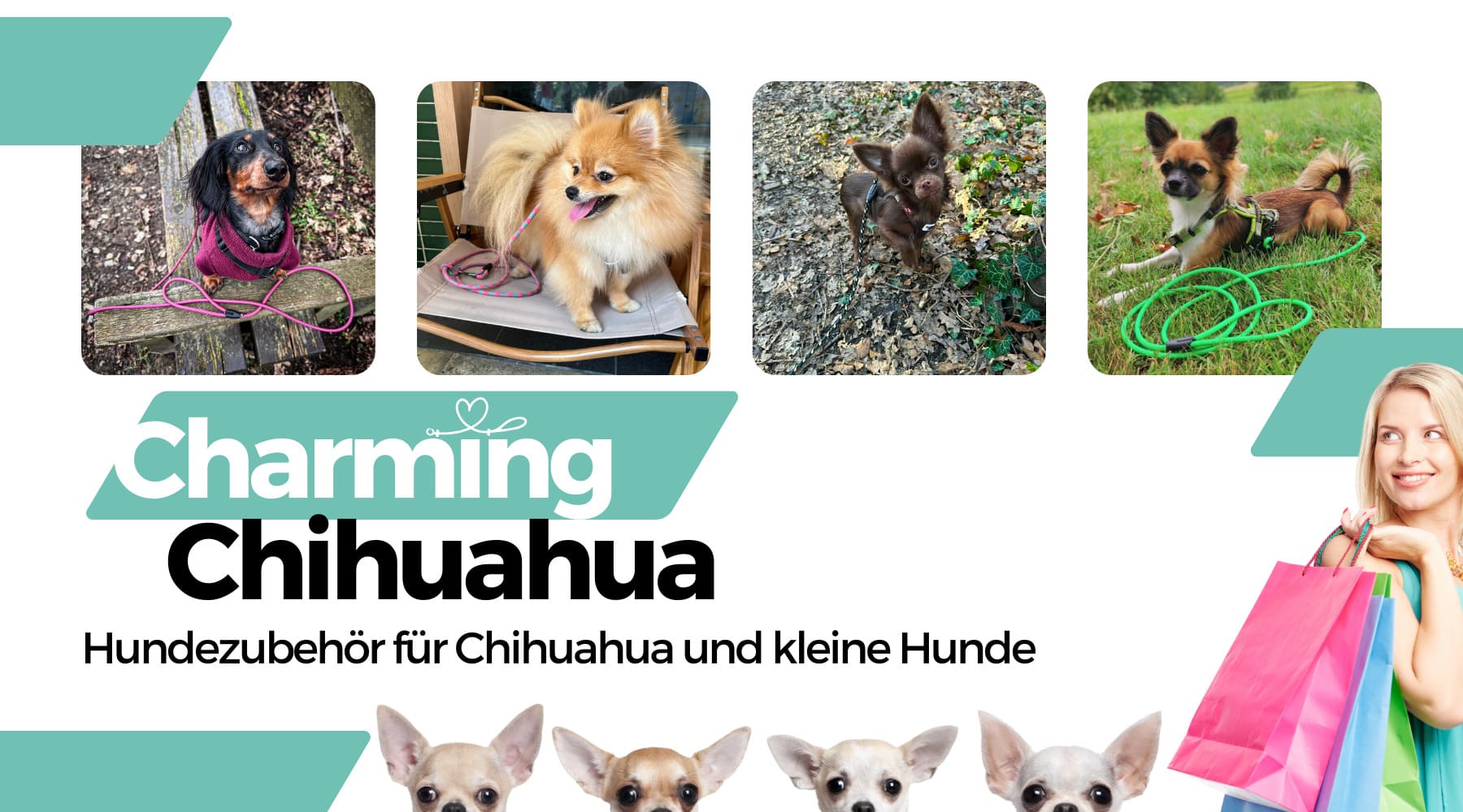 CharmingChihuahua-Hundezubehör-Hundeleine-für-Chihuahua-kleineHunde