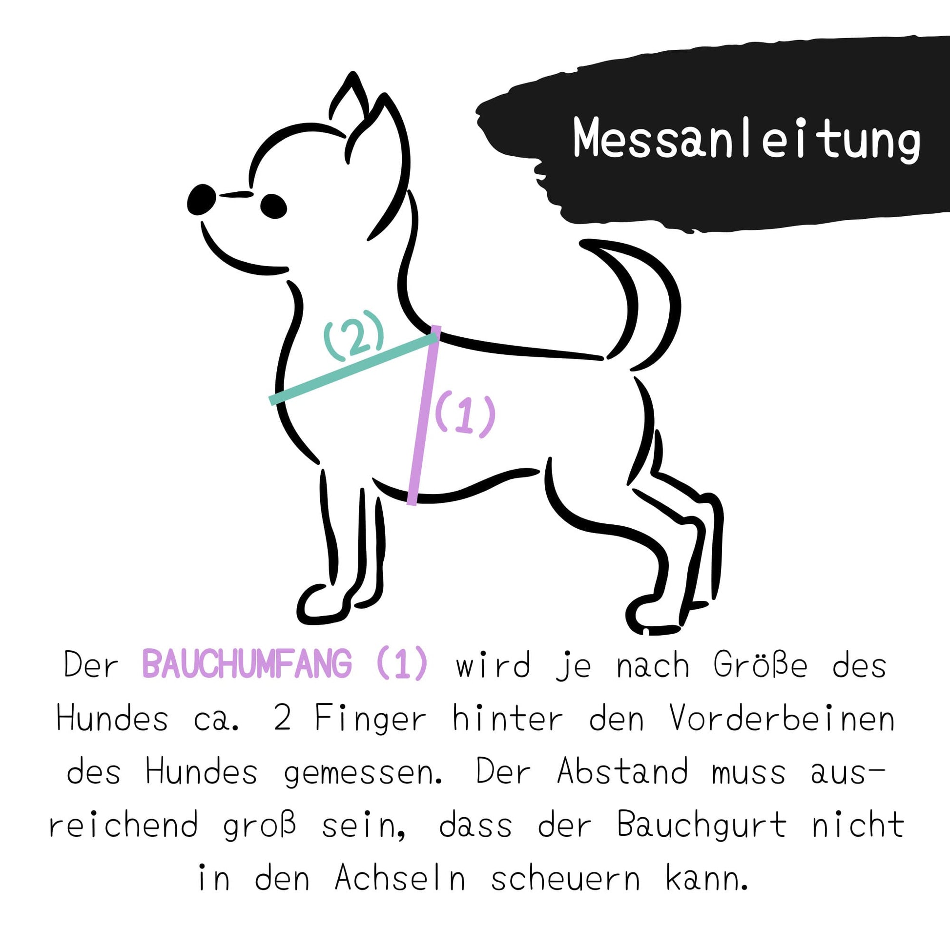 Hundegeschirr-Chow-Chow-Geschirr-Chihuahua-kleine-Hunde-Messanleitung