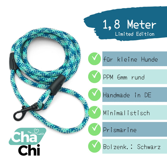 XXS Mini Hundeleinen aus 6mm runde PPM 1,8 Meter Prismarine türkis blau - CharmingChihuahua