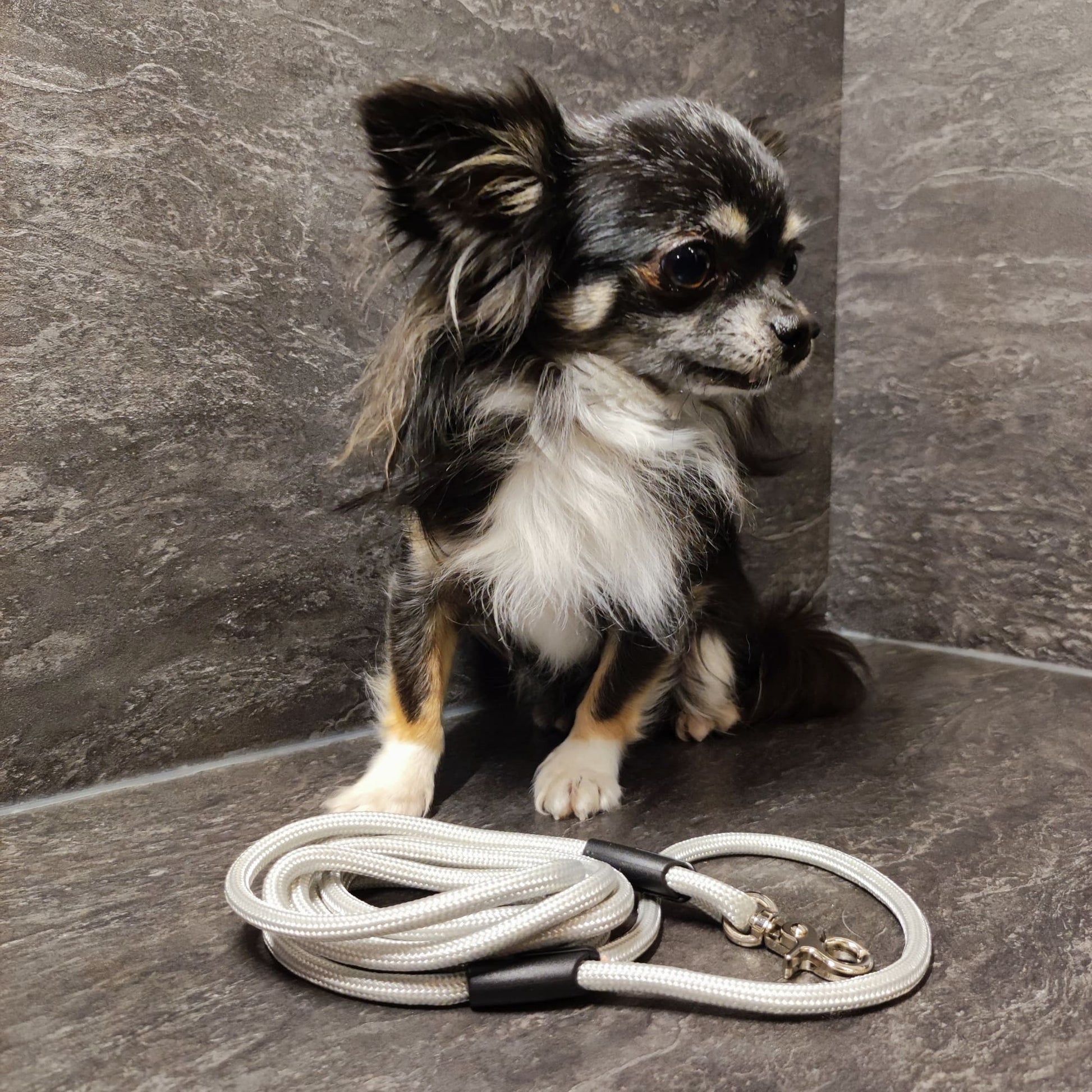 XXS Mini Hundeleinen aus 6mm runde PPM 1,8 Meter Silber - CharmingChihuahua