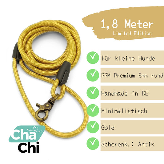 XXS Mini Hundeleinen aus 6mm runde PPM 1,8 Meter Gold - CharmingChihuahua