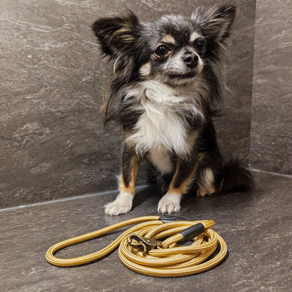 XXS Mini Hundeleinen aus 6mm runde PPM 1,8 Meter Gold - CharmingChihuahua