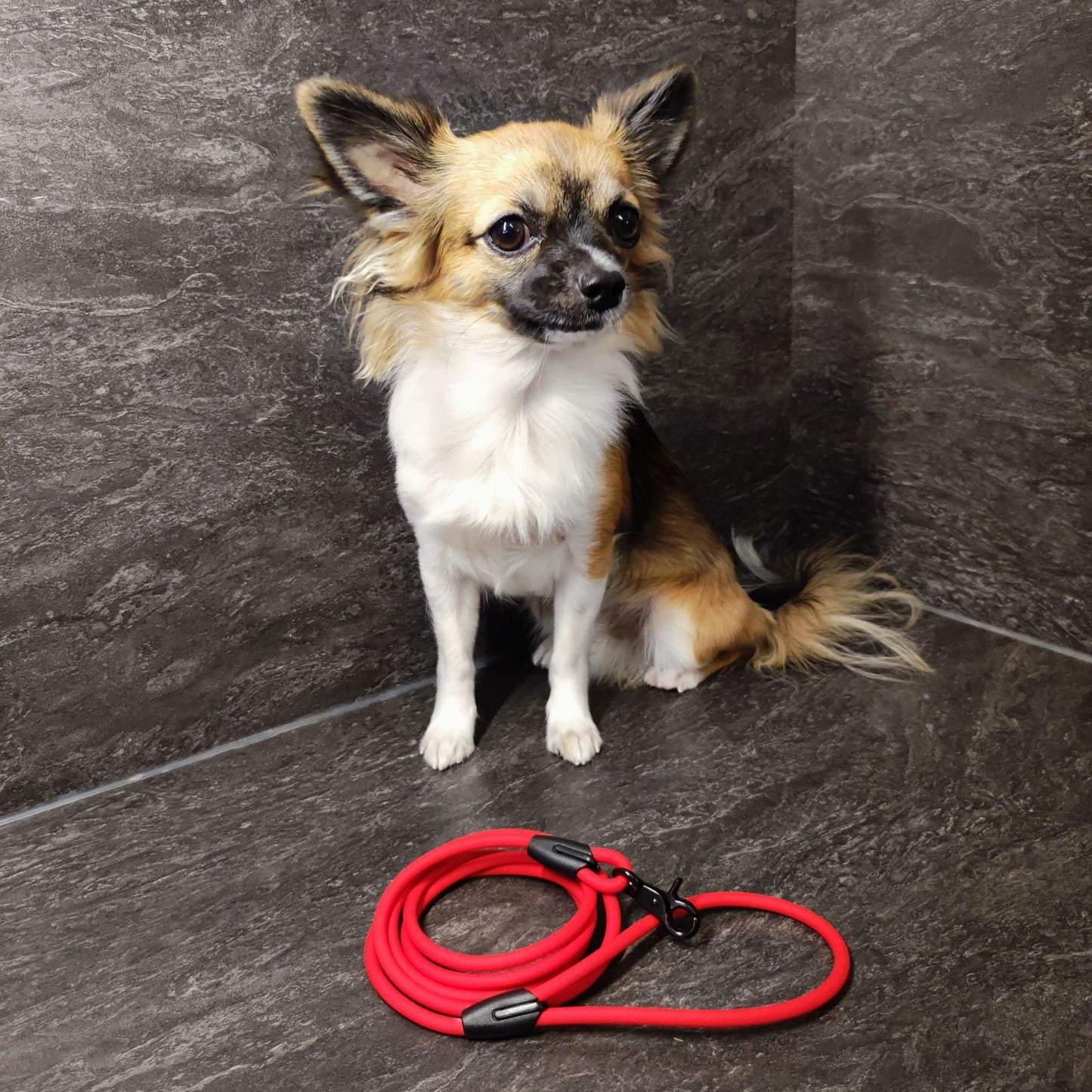 XXS Mini Hundeleine aus 6mm runde BioThane 1,5 Meter Rot - CharmingChihuahua