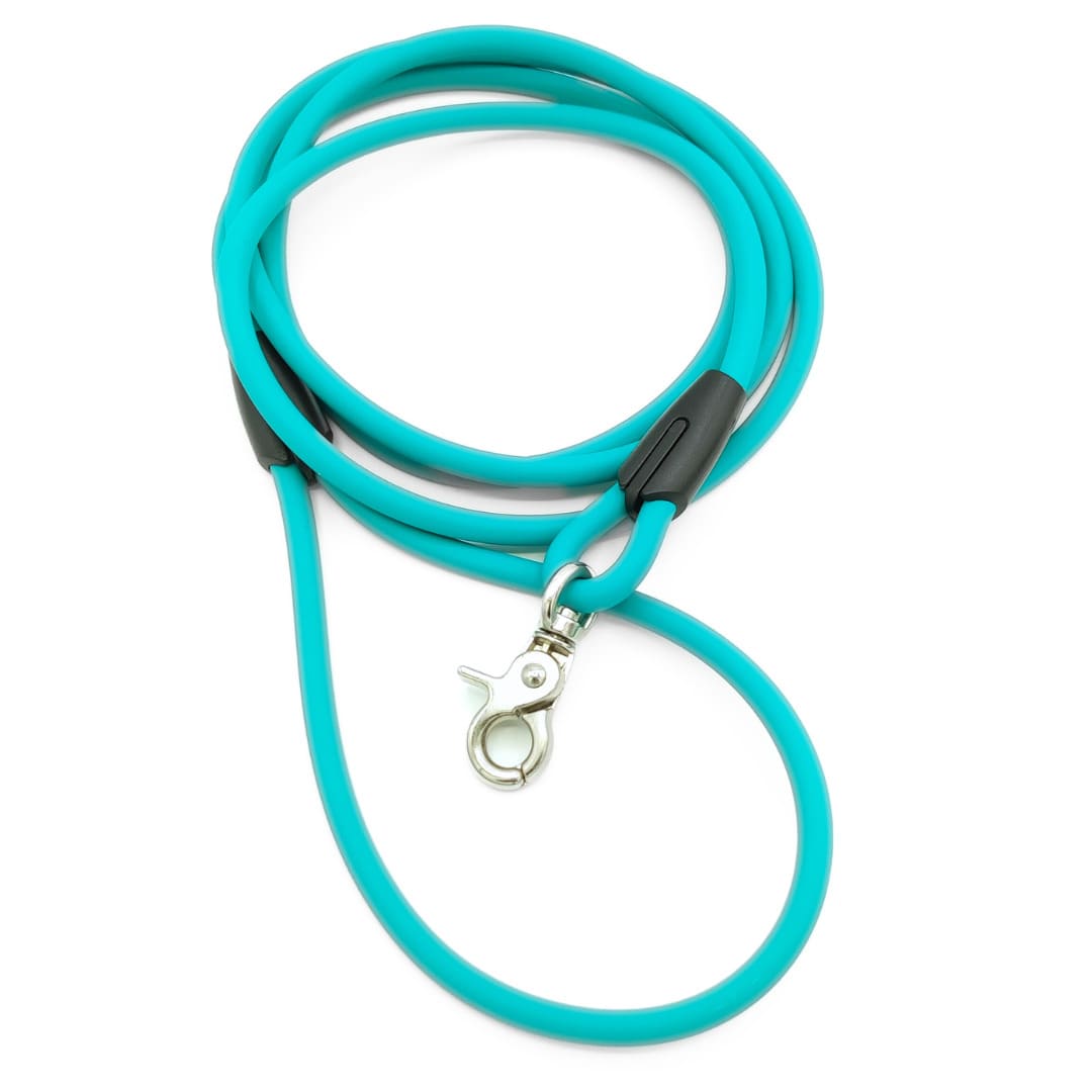 XXS Mini Hundeleinen aus 6mm runde BioThane® Cyan Silber Scherenkarabiner - CharmingChihuahua