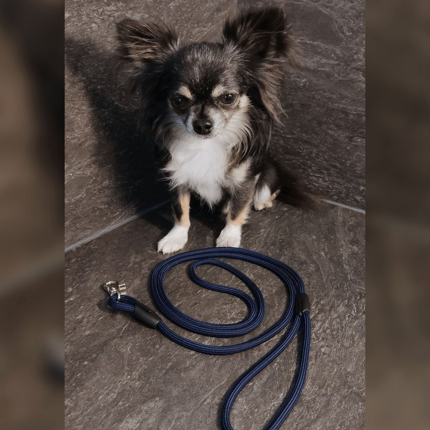 XXS Mini Hundeleine aus 6mm runde Paracord 1,5 Meter Mitternachtsblau - CharmingChihuahua